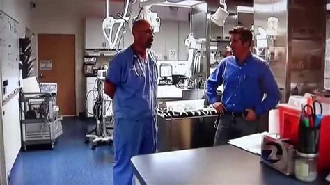 East Bay Veterinary Specialists and Emergency .